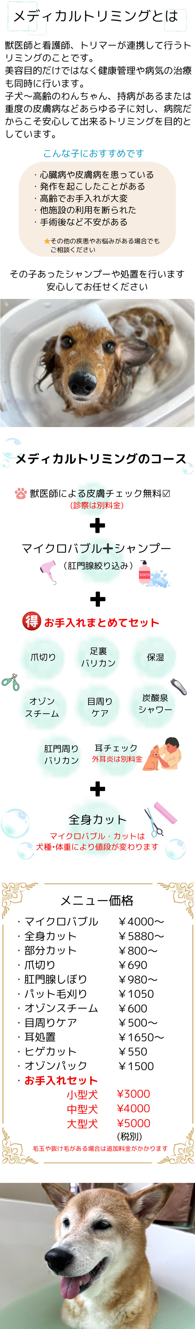 メディカルトリミングの紹介