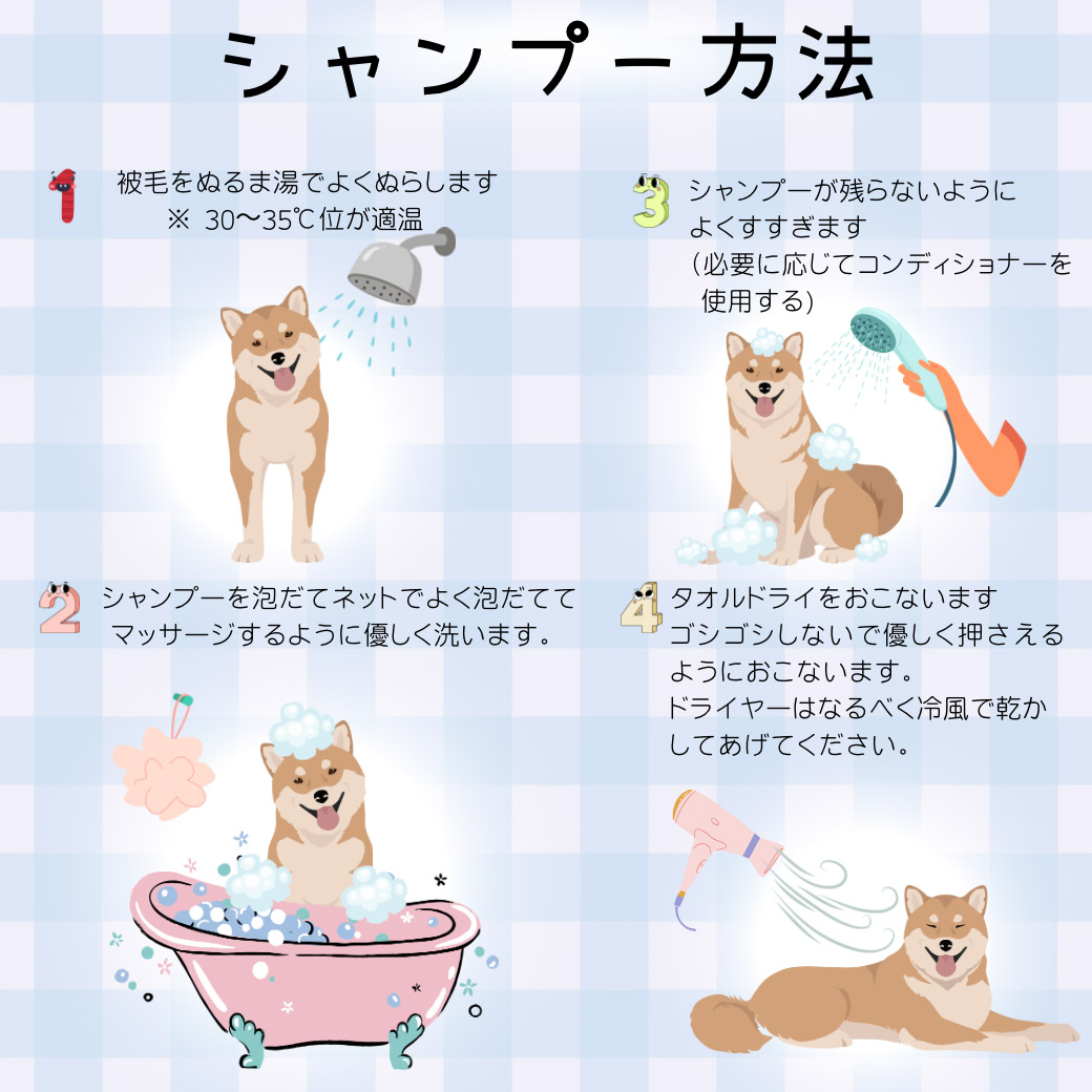 シャンプーの方法